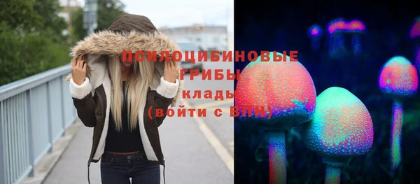 a pvp Алексин